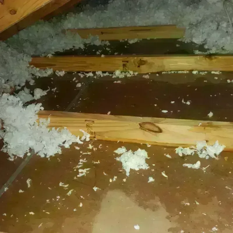 Attic Water Damage in King County, TX