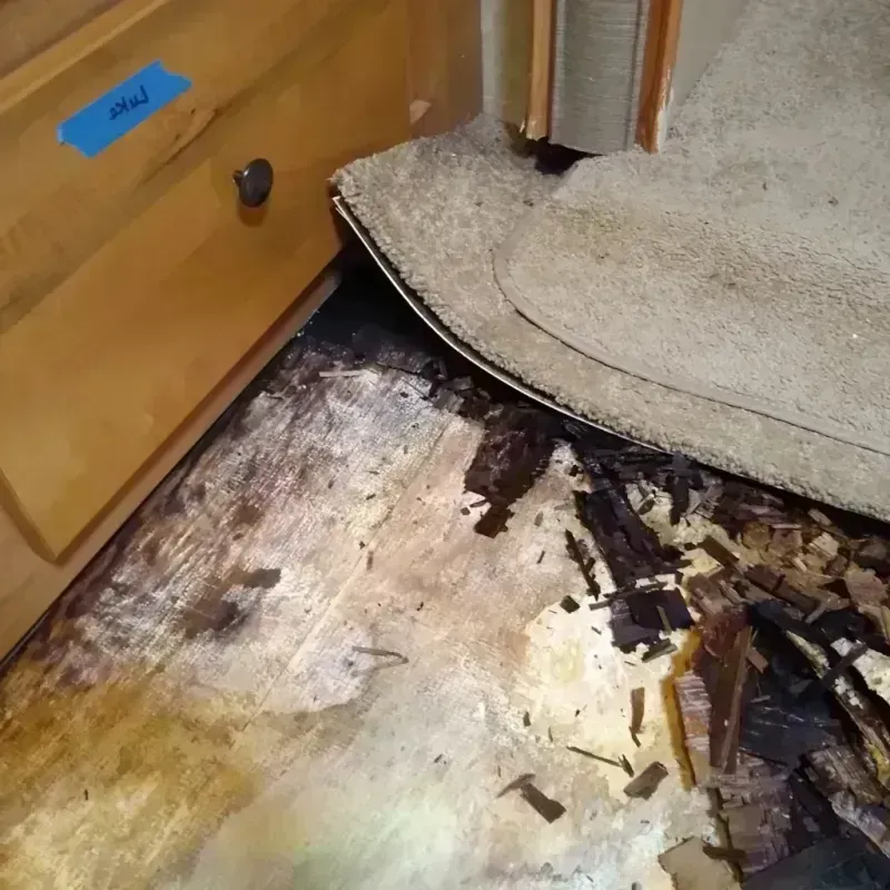 Best Wood Floor Water Damage Service in King County, TX